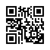 КулЛиб QR: Статский советник (fb2)