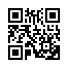 КулЛиб QR: Бастард и жрица (fb2)