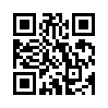 КулЛиб QR: Новый Рал 11 (fb2)