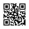 КулЛиб QR: Рунолог поневоле (fb2)