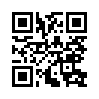 КулЛиб QR: Киров. Странник астрала (fb2)