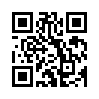 КулЛиб QR: Проверка на прочность (fb2)
