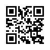 КулЛиб QR: Это я сделаю сам (fb2)
