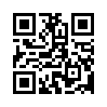 КулЛиб QR: Двойник поневоле (fb2)