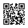 КулЛиб QR: Системный практик XI (fb2)