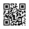 КулЛиб QR: Лидер (СИ) (fb2)