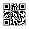 КулЛиб QR: В подземелье я пойду, там свой level подниму XI (СИ) (fb2)