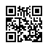 КулЛиб QR: Начало (fb2)