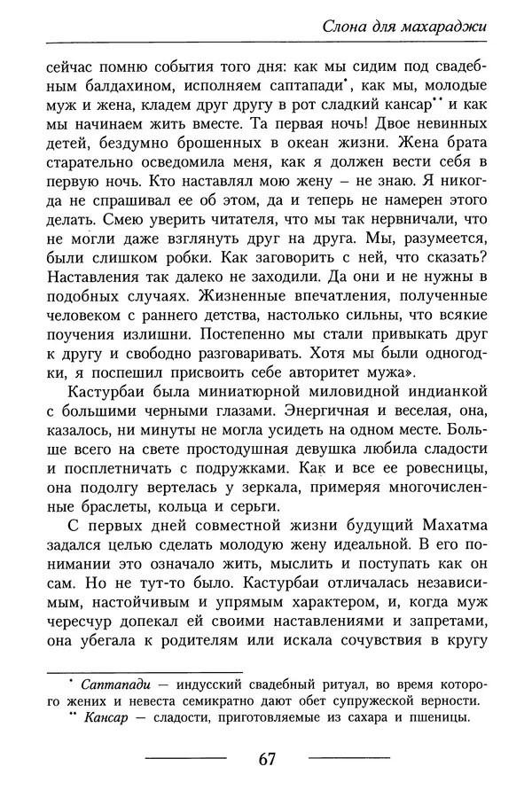 КулЛиб. Валерий Петрович Кашин - Слона для махараджи. Страница № 76