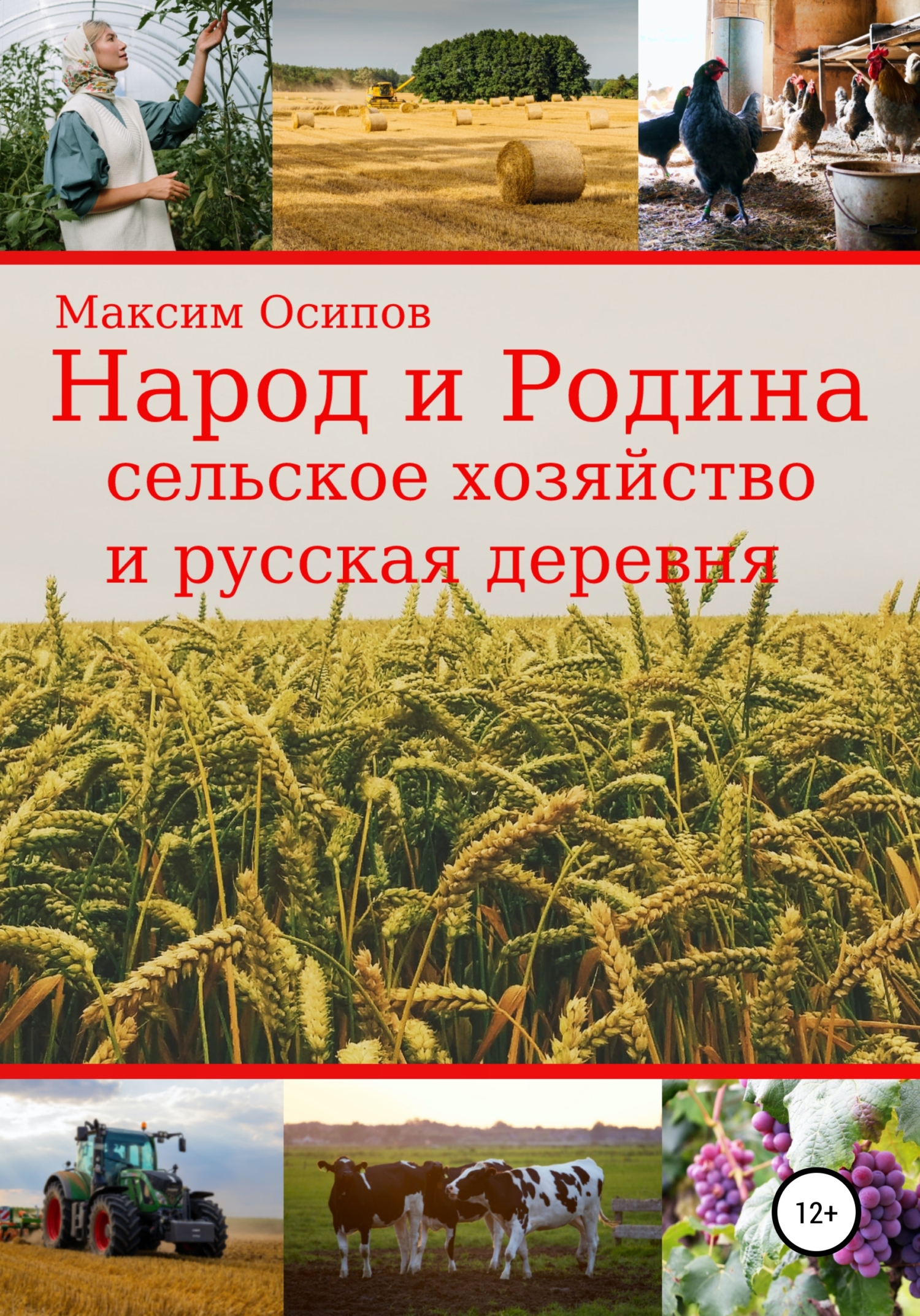 Народ и Родина. Сельское хозяйство и русская деревня (fb2)