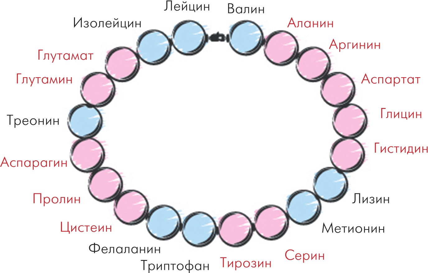 Дружу с телом. Как похудеть навсегда, или СТОП ЗАЖОРЫ. Ксения Король. Иллюстрация 155