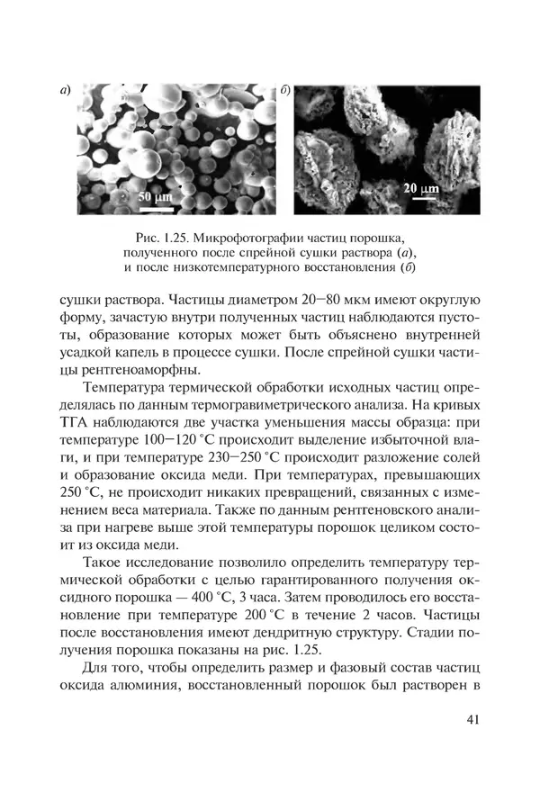 КулЛиб. Андрей Иванович Рудской - Нанотехнологии в металлургии. Страница № 42