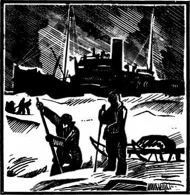 Зов Арктики. Валерий Воскобойников. Иллюстрация 16