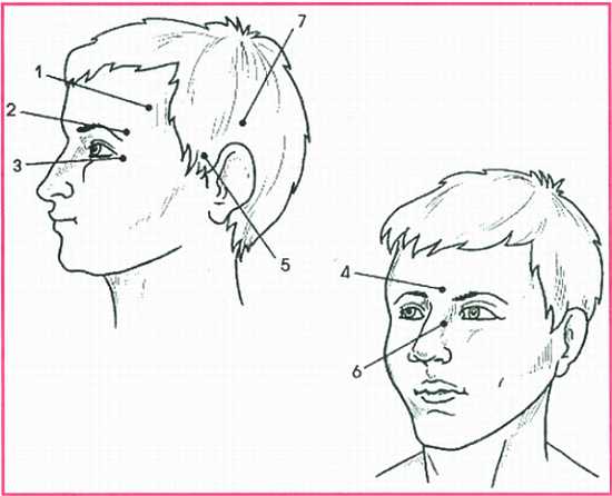 Голова левая сторона затылок. Висок часть головы. Болезненная точка над ухом.