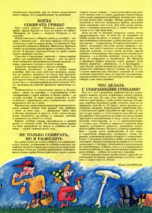 КулЛиб.   Журнал «Пионер» - Пионер, 1993 № 10. Страница № 17