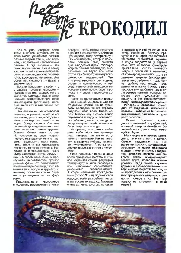 КулЛиб.   Журнал «Пионер» - Пионер, 1993 № 10. Страница № 25