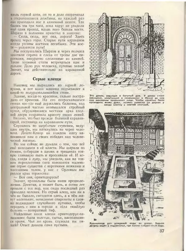 КулЛиб.   Журнал «Пионер» - Пионер, 1955 № 01. Страница № 41