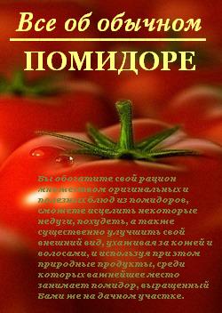 Все об обычном помидоре (fb2)