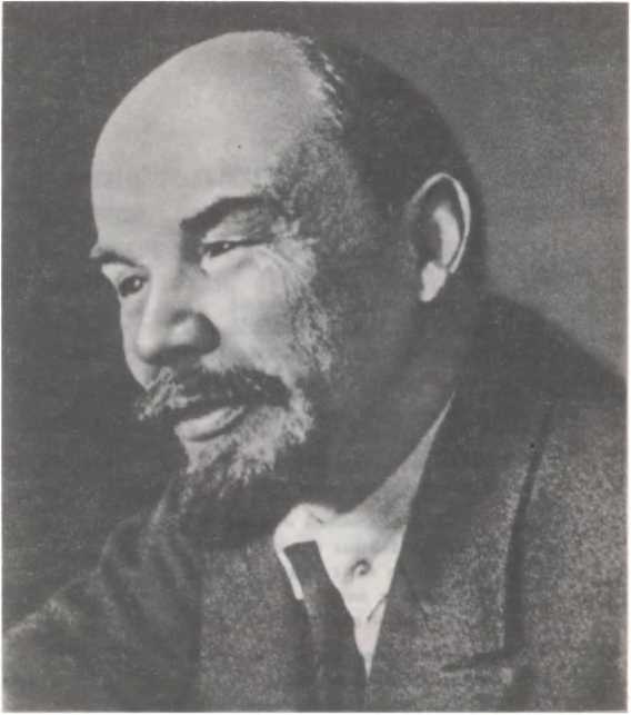 Товарищ Ленин. Композиция. Николай Некрасов. Иллюстрация 43