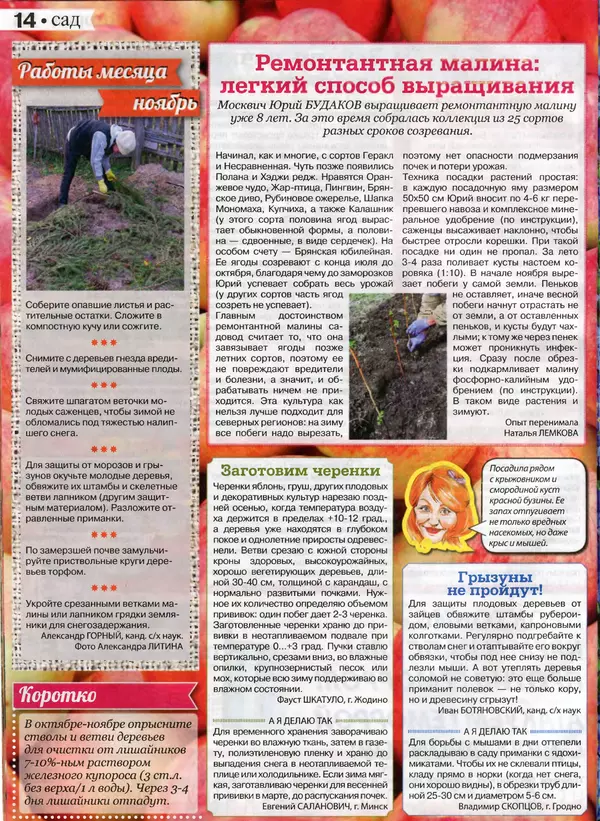 КулЛиб.   журнал Сваты на даче - Сваты на даче 2016 №10(22). Страница № 14