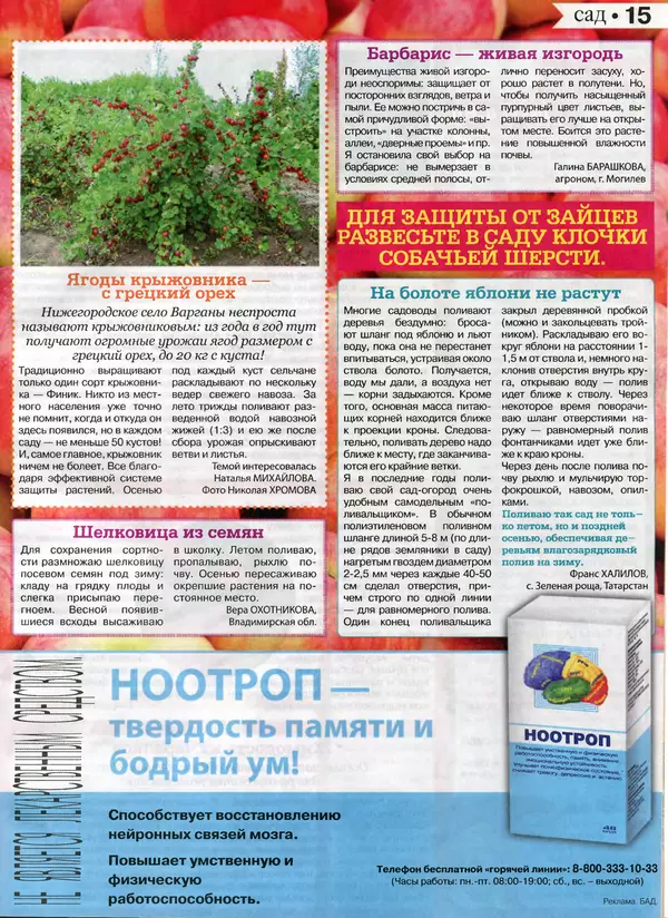 КулЛиб.   журнал Сваты на даче - Сваты на даче 2016 №10(22). Страница № 15