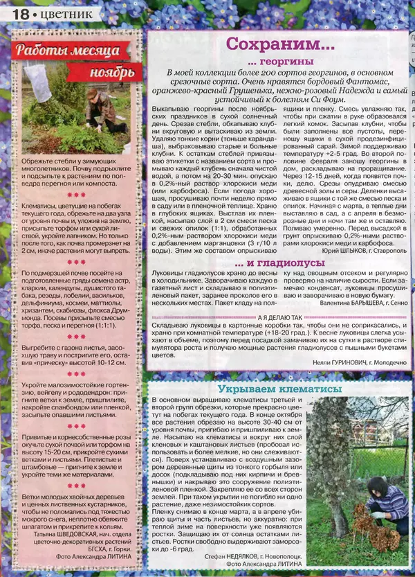 КулЛиб.   журнал Сваты на даче - Сваты на даче 2016 №10(22). Страница № 18