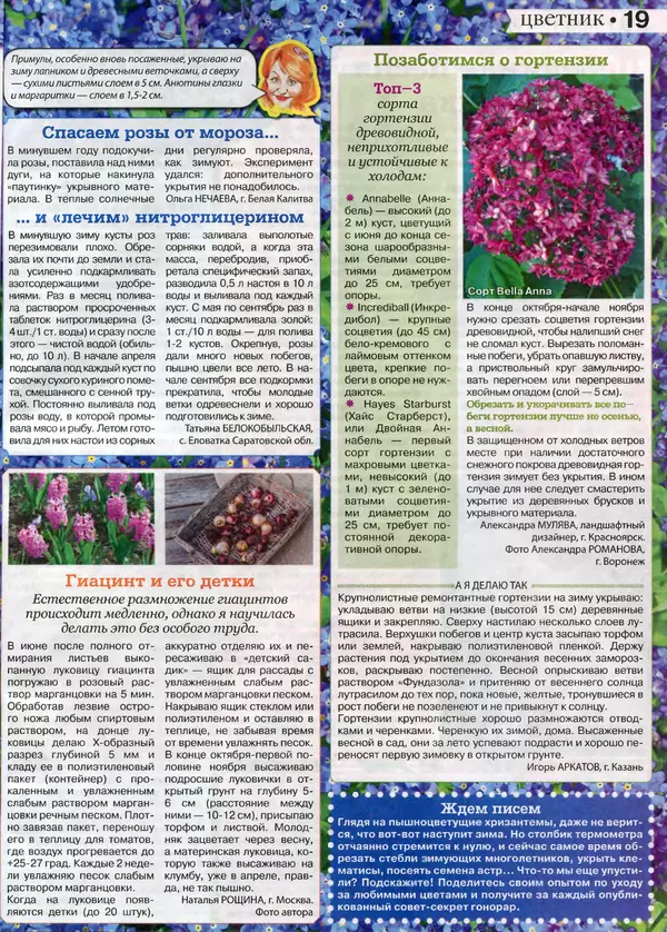КулЛиб.   журнал Сваты на даче - Сваты на даче 2016 №10(22). Страница № 19