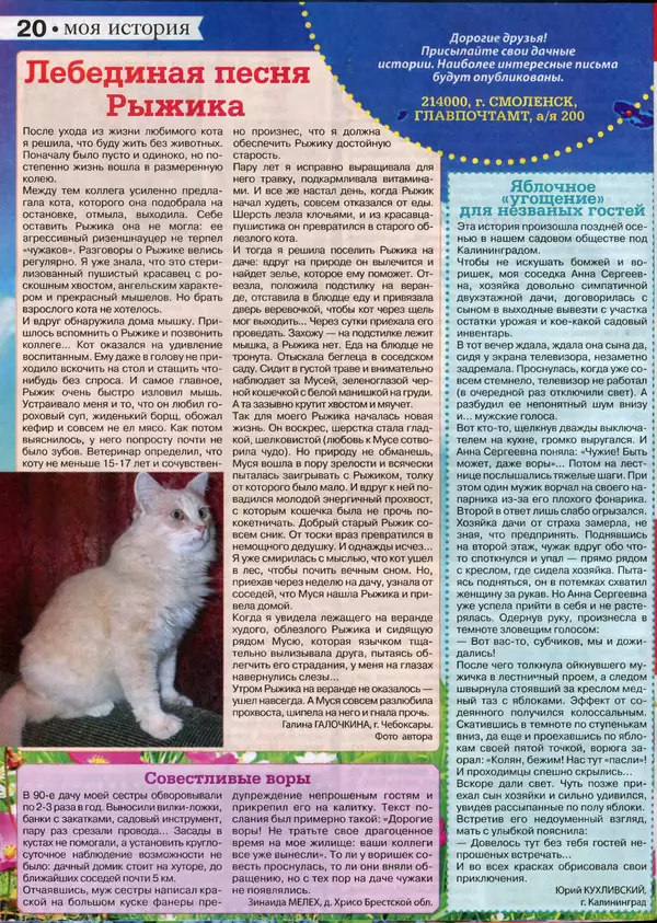 КулЛиб.   журнал Сваты на даче - Сваты на даче 2016 №10(22). Страница № 20