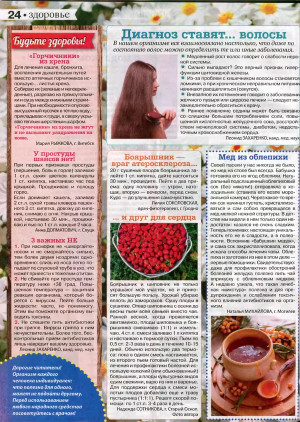 КулЛиб.   журнал Сваты на даче - Сваты на даче 2016 №10(22). Страница № 23