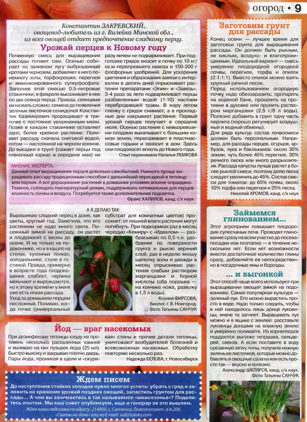 КулЛиб.   журнал Сваты на даче - Сваты на даче 2016 №10(22). Страница № 9