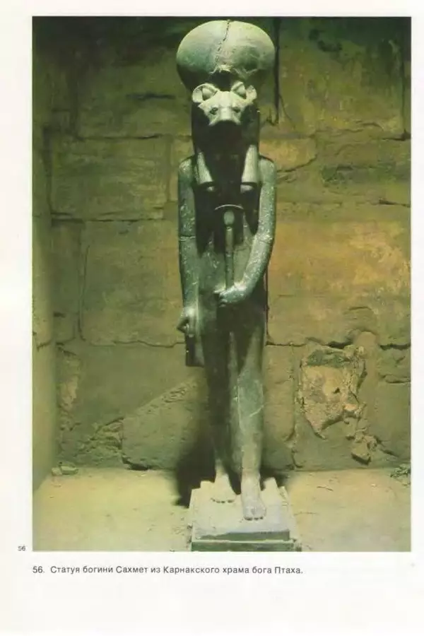 КулЛиб. Петер  Элебрахт - Трагедия пирамид: 5000 лет разграбления египетских усыпальниц. Страница № 259