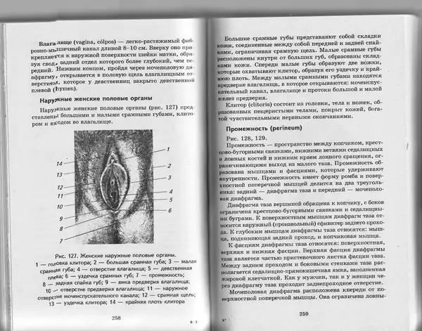 КулЛиб. А. А. Швырев - Анатомия и физиология человека с основами общей патологии. Страница № 131