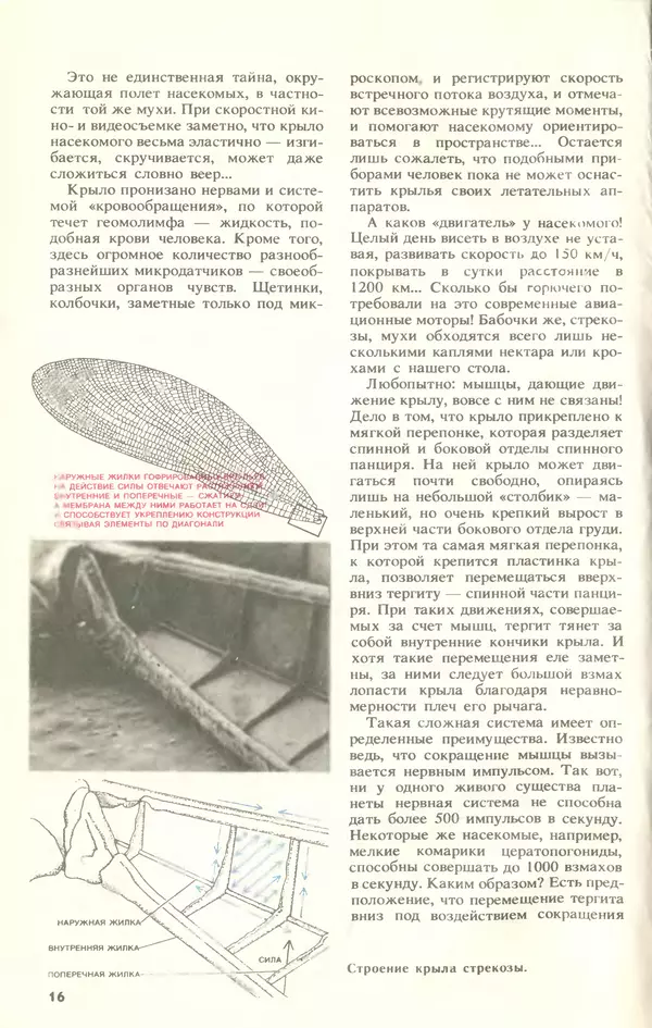 КулЛиб.   Журнал «Юный техник» - Юный техник, 1994 №10. Страница № 18