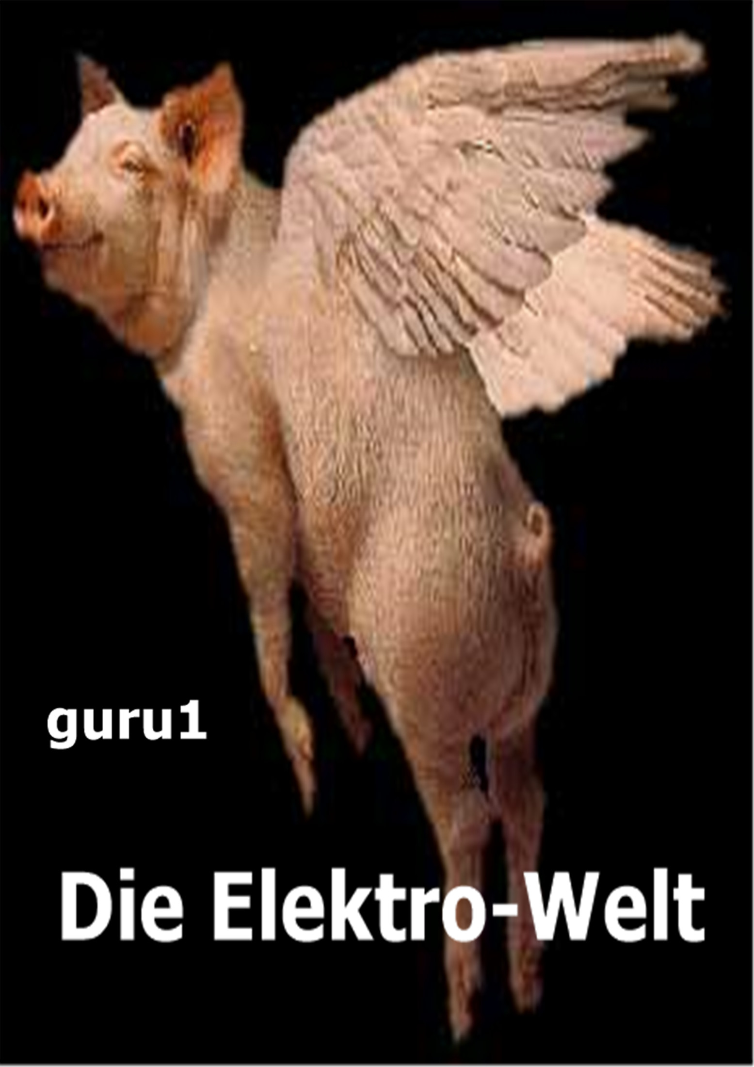 Die Elektro-Welt (fb2)