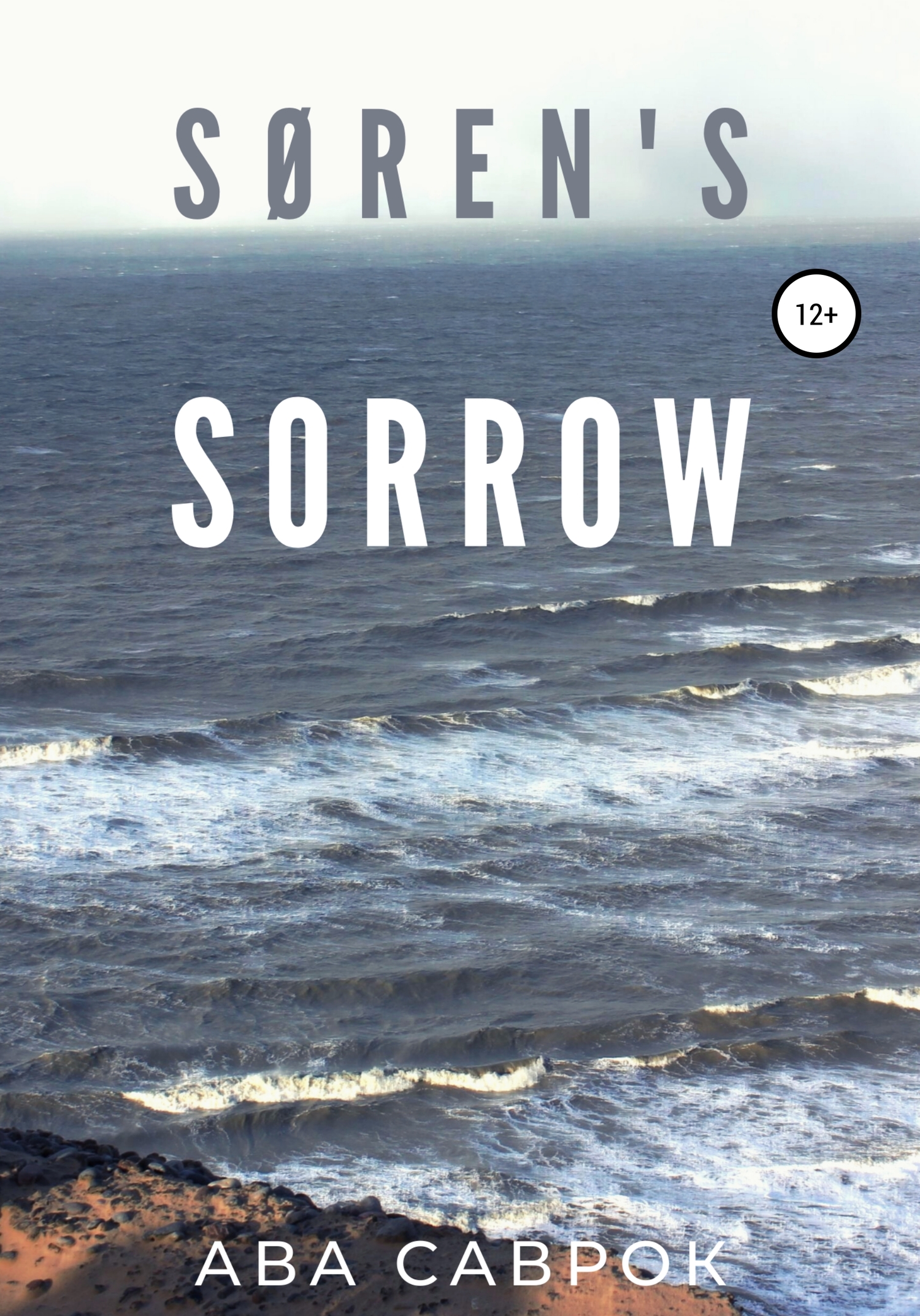 Søren’s Sorrow (fb2)