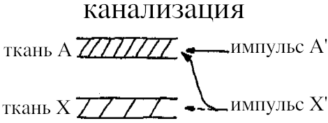 Общая семантика. Семинар, 1937. Альфред Коржибски. Иллюстрация 7