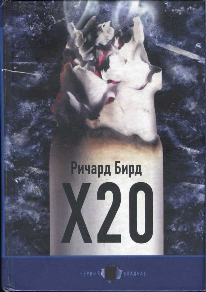 Х20 (fb2)