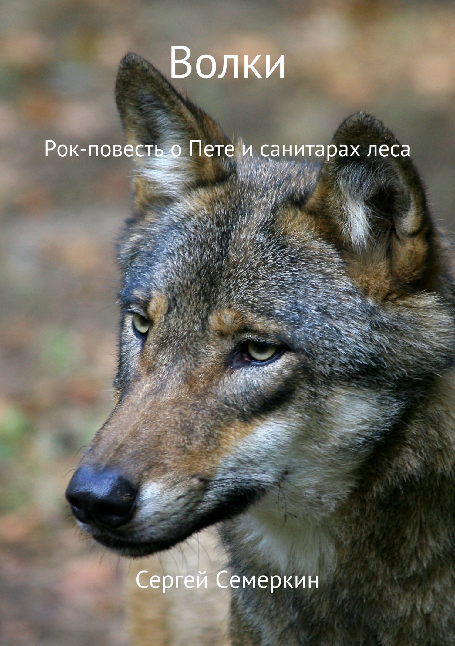 Волки (fb2)