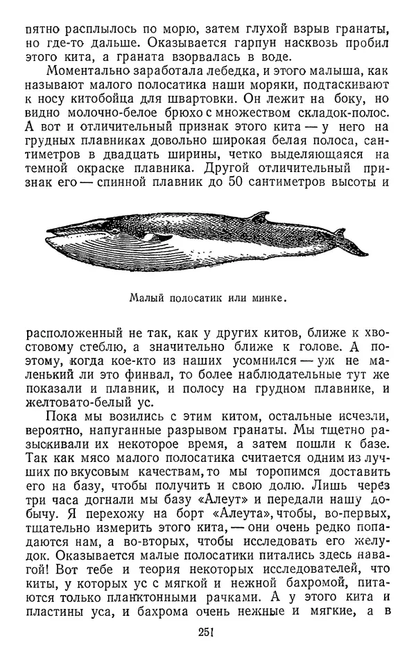 КулЛиб. Борис Александрович Зенкович - Вокруг света за китами. Страница № 270