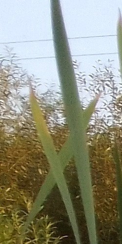 Москва(-90) (fb2)