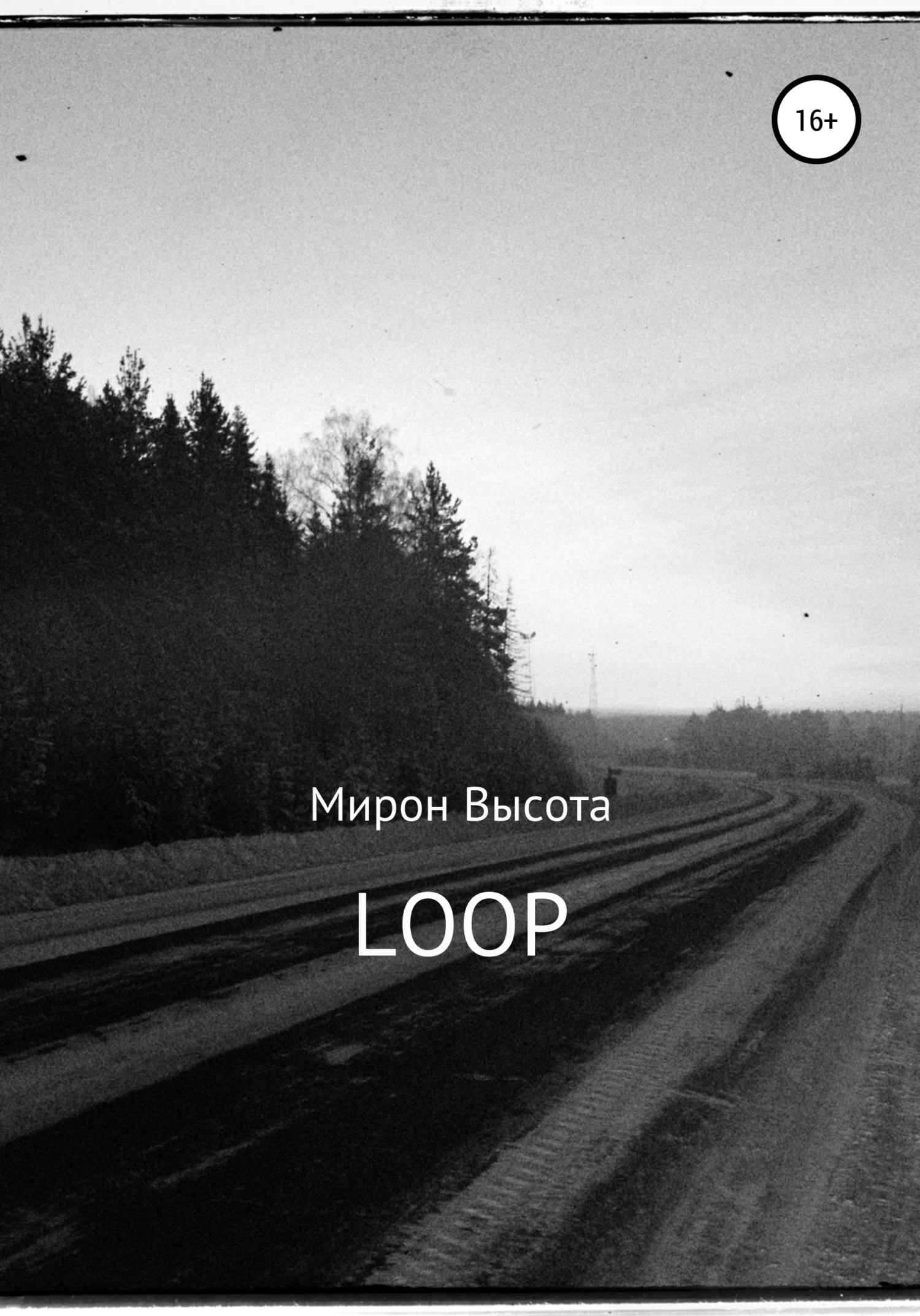 Loop (fb2)
