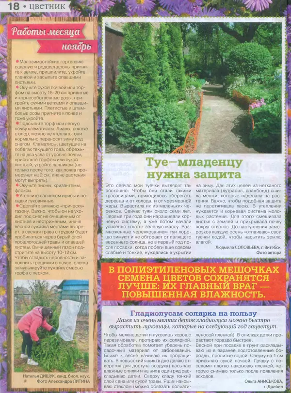 КулЛиб.   журнал Сваты на даче - Сваты на даче 2015 №10(10). Страница № 17