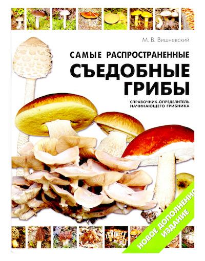 Самые распространенные съедобные грибы: справочник-определитель начинающего грибника (djvu)