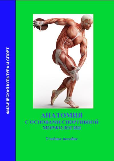 Анатомия с основами спортивной морфологии (pdf)