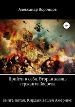 Книга - Александр Евгеньевич Воронцов - Кирдык вашей Америке! - читать
